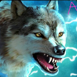 عکس کاربر - 🍀گرگ🐺