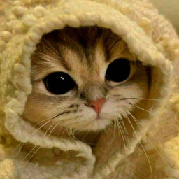 عکس کاربر - دخی