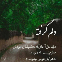 عکس کاربر - fatrsh