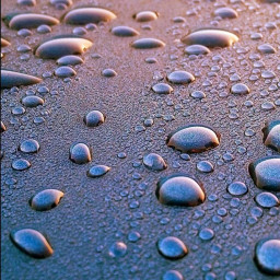عکس کاربر - 💧Light_of_rain💧