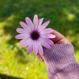 عکس کاربر - نازنین