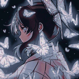 عکس کاربر - 🦋Shinobu🦋