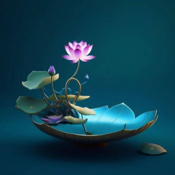 عکس کاربر - A:A