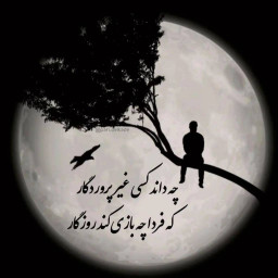 عکس کاربر - حقیفfek