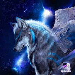 عکس کاربر - mtaha1234