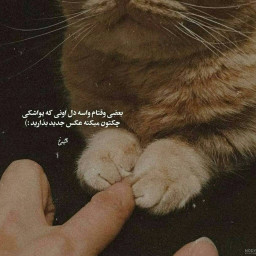 عکس کاربر