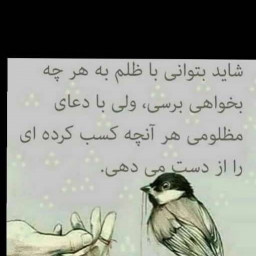 عکس کاربر