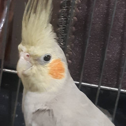 عکس کاربر - 💖cute💖 