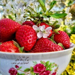 عکس کاربر - مرینت⁦⁦&gt;.&lt;⁩⁦^_^⁩