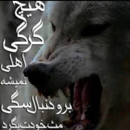 عکس کاربر - MAHAN