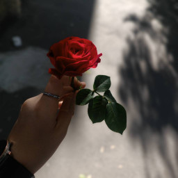 عکس کاربر - نگین جعفری