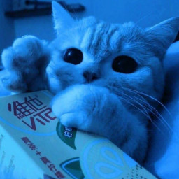 عکس کاربر - ⁦(♡⁠‿⁠♡)⁩
