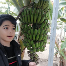 عکس کاربر - حسین