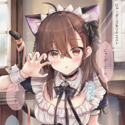 عکس کاربر - 🐾💮キティちゃん🌸🐾