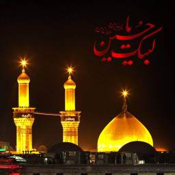 عکس کاربر - آدریان خادم الحسین (ع)