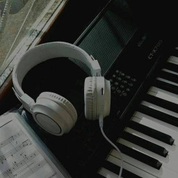 عکس کاربر - نسترن