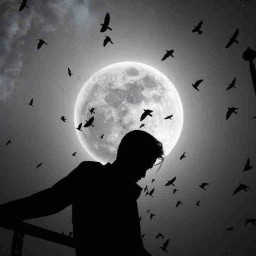 عکس کاربر - Behzad