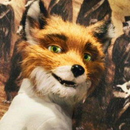 عکس کاربر - Fantastic Mr.Fox