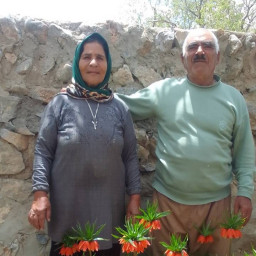 عکس کاربر - گلی