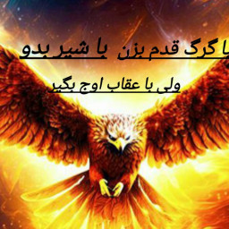 عکس کاربر - YASIN IRIN 17