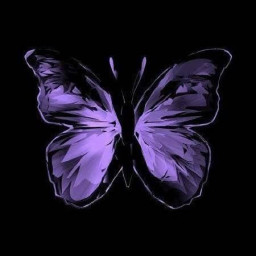 عکس کاربر - 🦋💎SM💜🖤کرومی🖤💜SM💎🦋