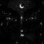 عکس کاربر - 🌌دلسا
