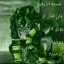 عکس کاربر - parham 101