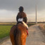 عکس کاربر - horse