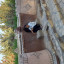 عکس کاربر - زهرا موسوی 