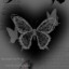 عکس کاربر - RONYA__13