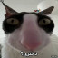 عکس کاربر - ☞⁠￣⁠ᴥ⁠￣⁠☞