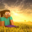عکس کاربر - mr.mincraft