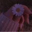 عکس کاربر - مرسانا