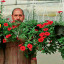 عکس کاربر - مروس