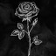 عکس کاربر - 🖤Fardin🖤
