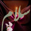 عکس کاربر - Hasan Rezaei