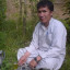 عکس کاربر -    Habib Neyazi 