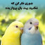 عکس کاربر - مصی