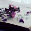 عکس کاربر - saeed_68