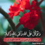 عکس کاربر - منتظیران مهدی