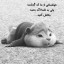 عکس کاربر - torkan 