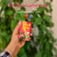 عکس کاربر - یگانه 