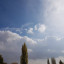 عکس کاربر - ha.sh