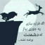 عکس کاربر - mahan