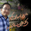 عکس کاربر - hamidreza