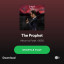 عکس کاربر - arash fadaei 