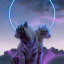 عکس کاربر - AmirMohammad