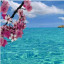 عکس کاربر - حانیه