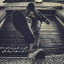 عکس کاربر - Mehdi ghasemi