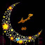 عکس کاربر - حمید 